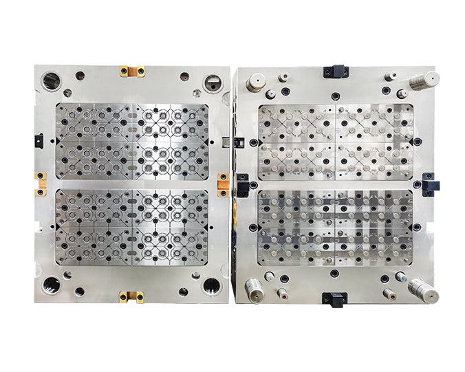 Multi Cavity Mold